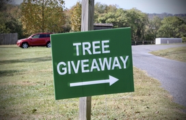 Tree Giveaway