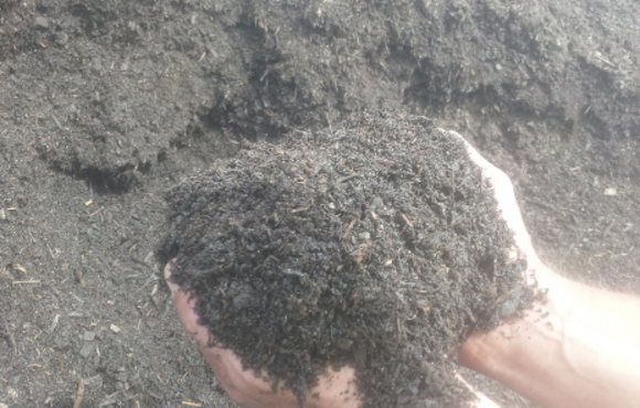 hands in compost