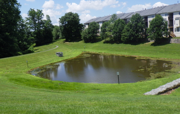 stormwater pond feature