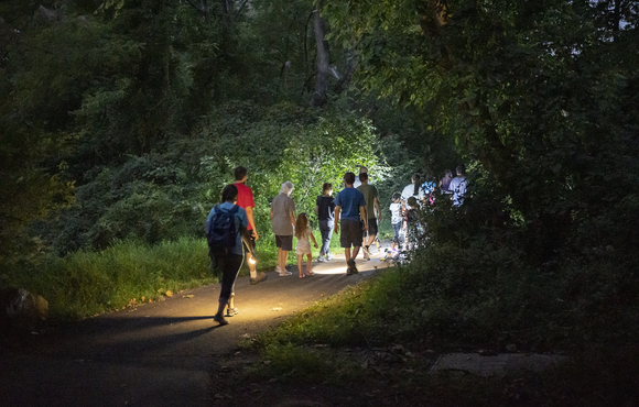 Night Hike Camping