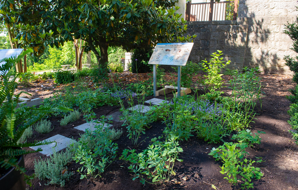 Image of garden bed with green shrubs, fresh mulch and informational sign