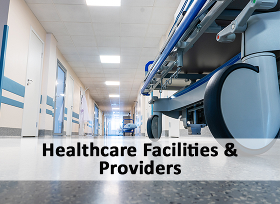 Healthcare Facilities & Providers COVID icon