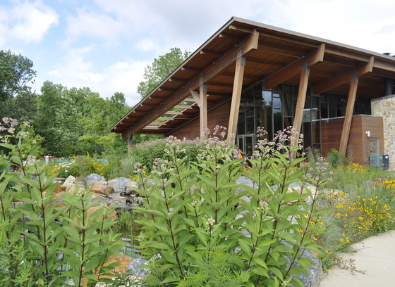 Robinson Nature Center in spring with blooming flowers