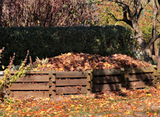 backyard composting