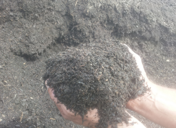 hands in compost