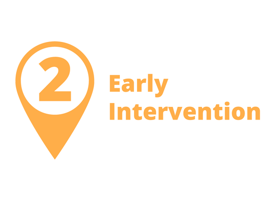 Step 2 - Early Intervention