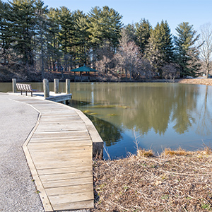 Guilford Park Pond