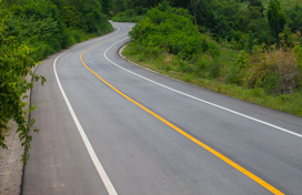 two lane road surrounded by trees