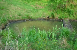 oak west drive pond