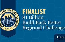 Build Back Better Finalist