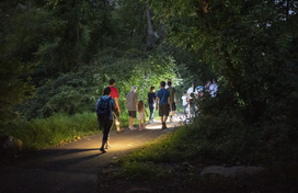Night Hike Camping