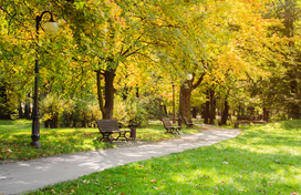 public places